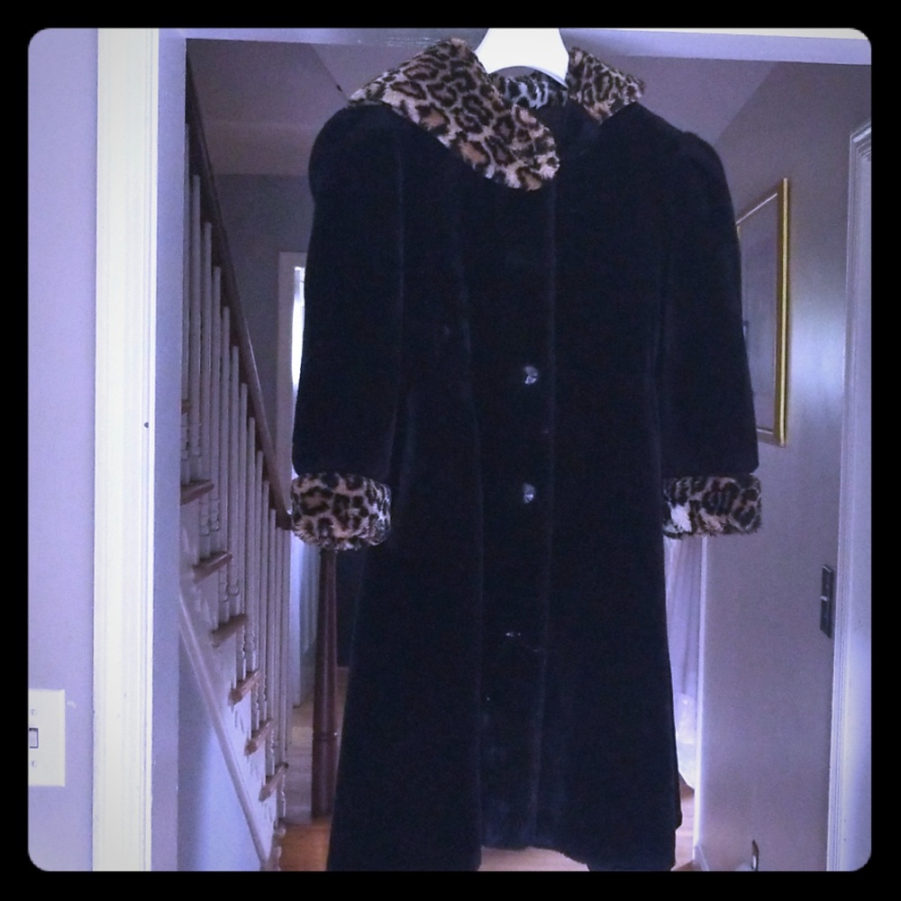 Winter Coat